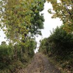 CAMINO INTERIOR APIAO