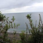 VISTA APIAO